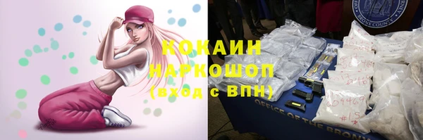 ешки Семилуки