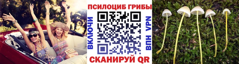 купить наркотики цена  Партизанск  Псилоцибиновые грибы мухоморы 