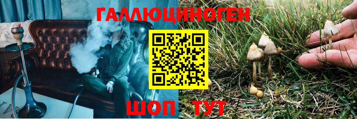 Партизанск  Галлюциногенные грибы Magic Shrooms  Вход с VPN 
